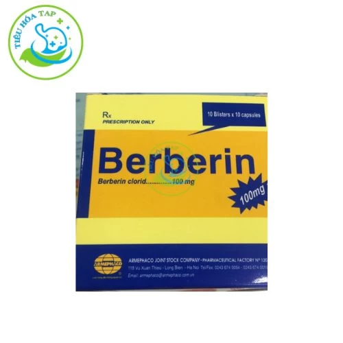 Berberin 100mg Armephaco - Chai 100 viên